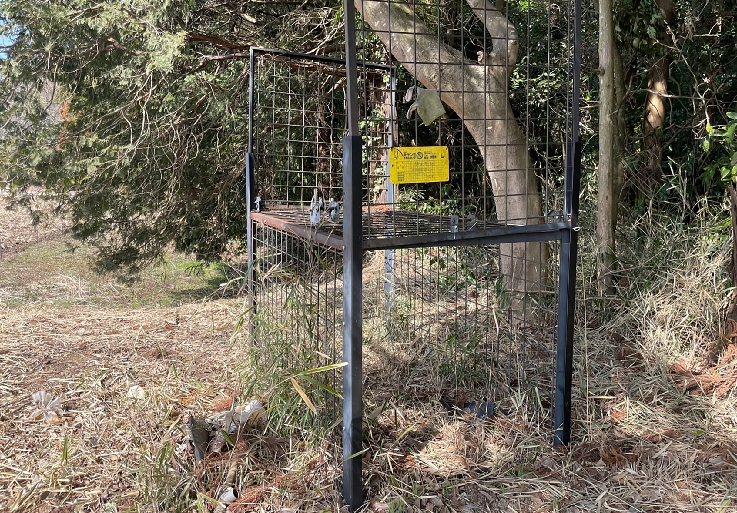 神聖かまってちゃん聖地巡礼イノシシの檻の写真