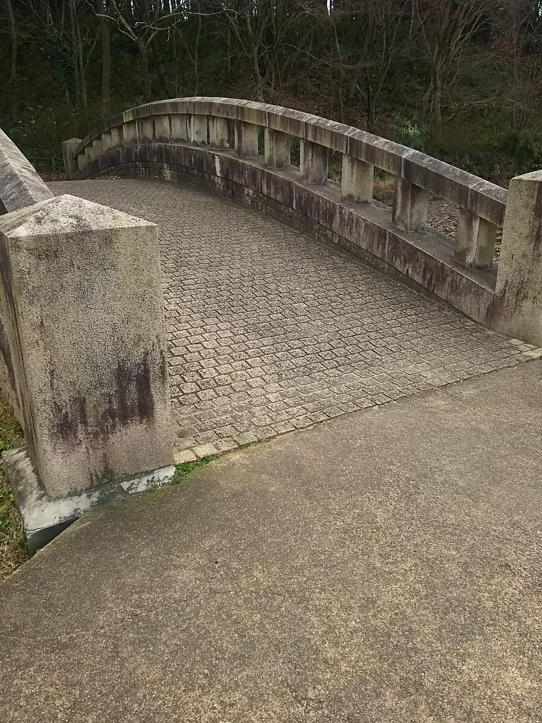 神聖かまってちゃん聖地巡礼、橋の写真