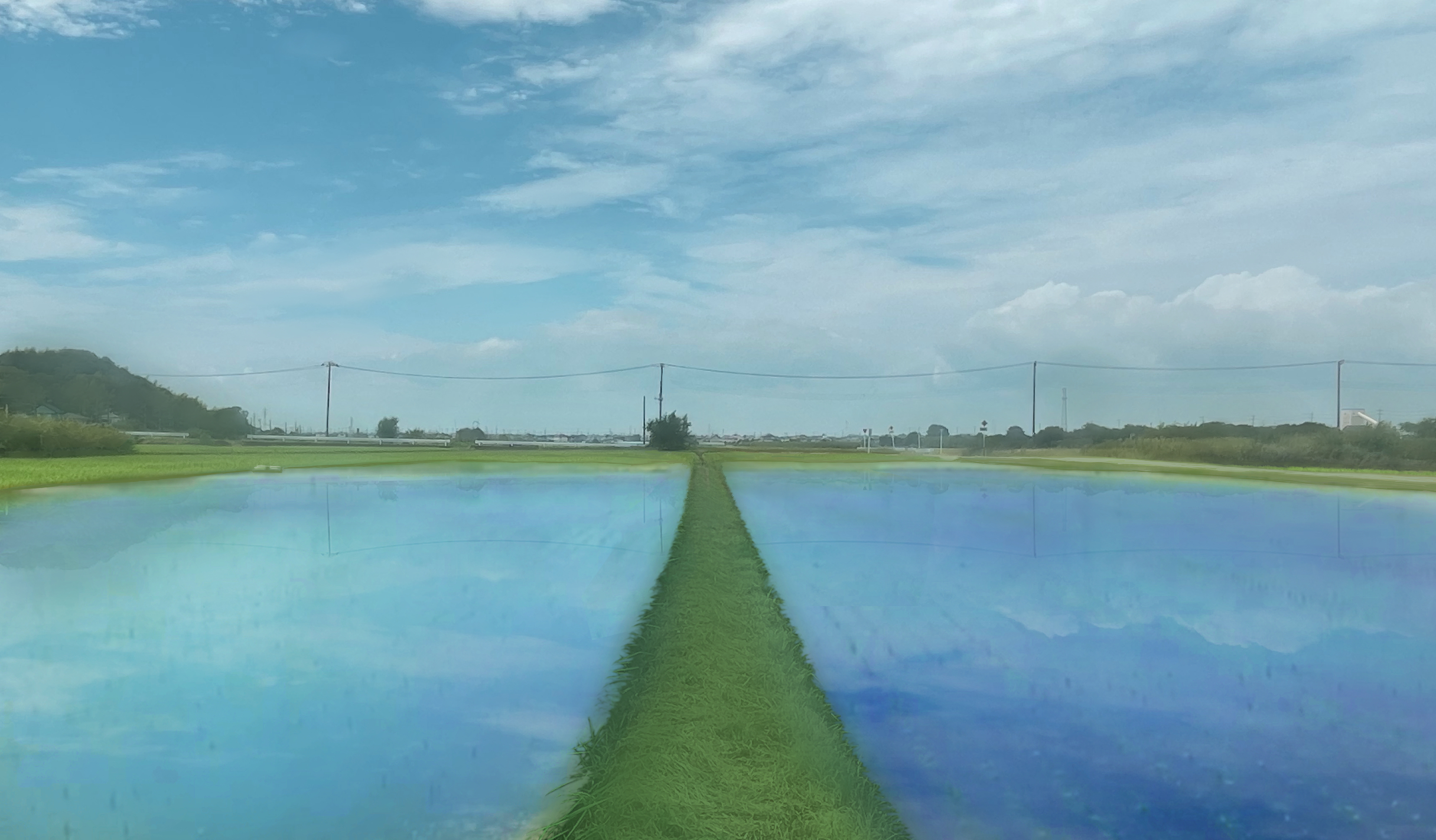 神聖かまってちゃん聖地巡礼、水田のあぜ道の画像